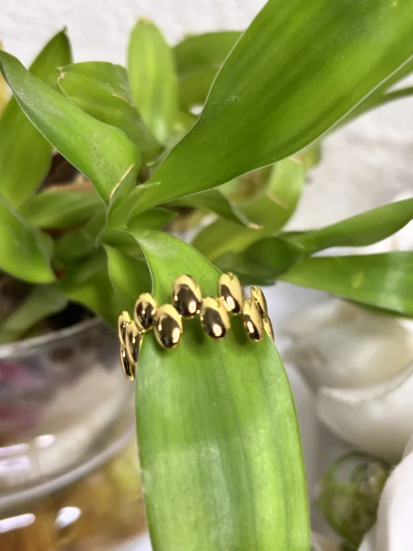 Eternal Shine Ring ✨ - Image 3